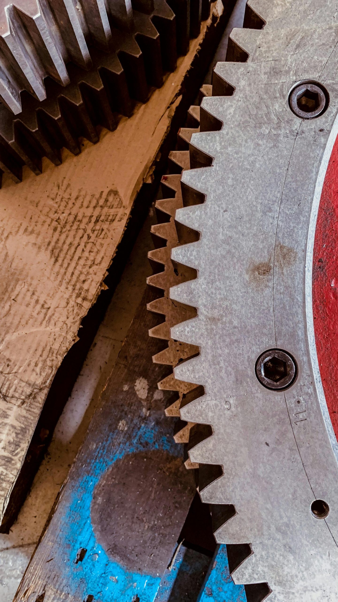 pexels didsss 10064787